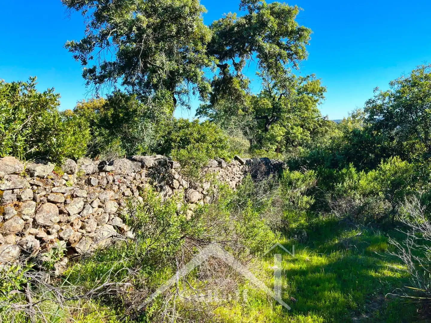 Terreni e lotti in vendita a Castilblanco de los Arroyos, imagen 29