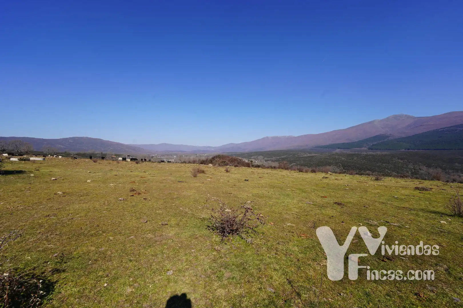 Terreno rústico en venta en Campillo de Ranas, imagen 3