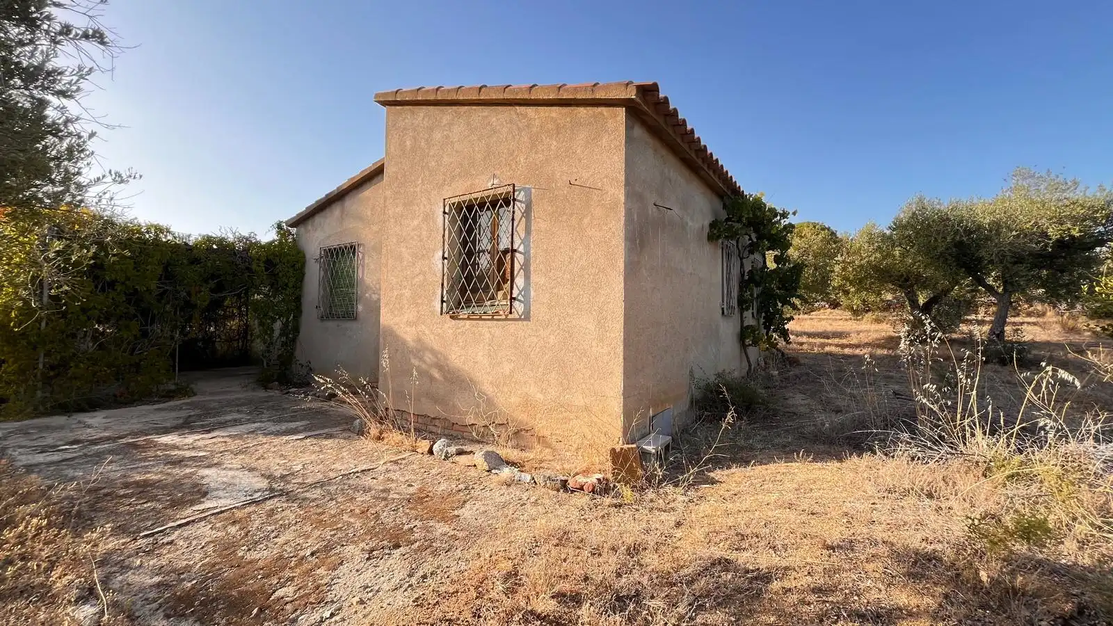 Land for sale in Riudecanyes