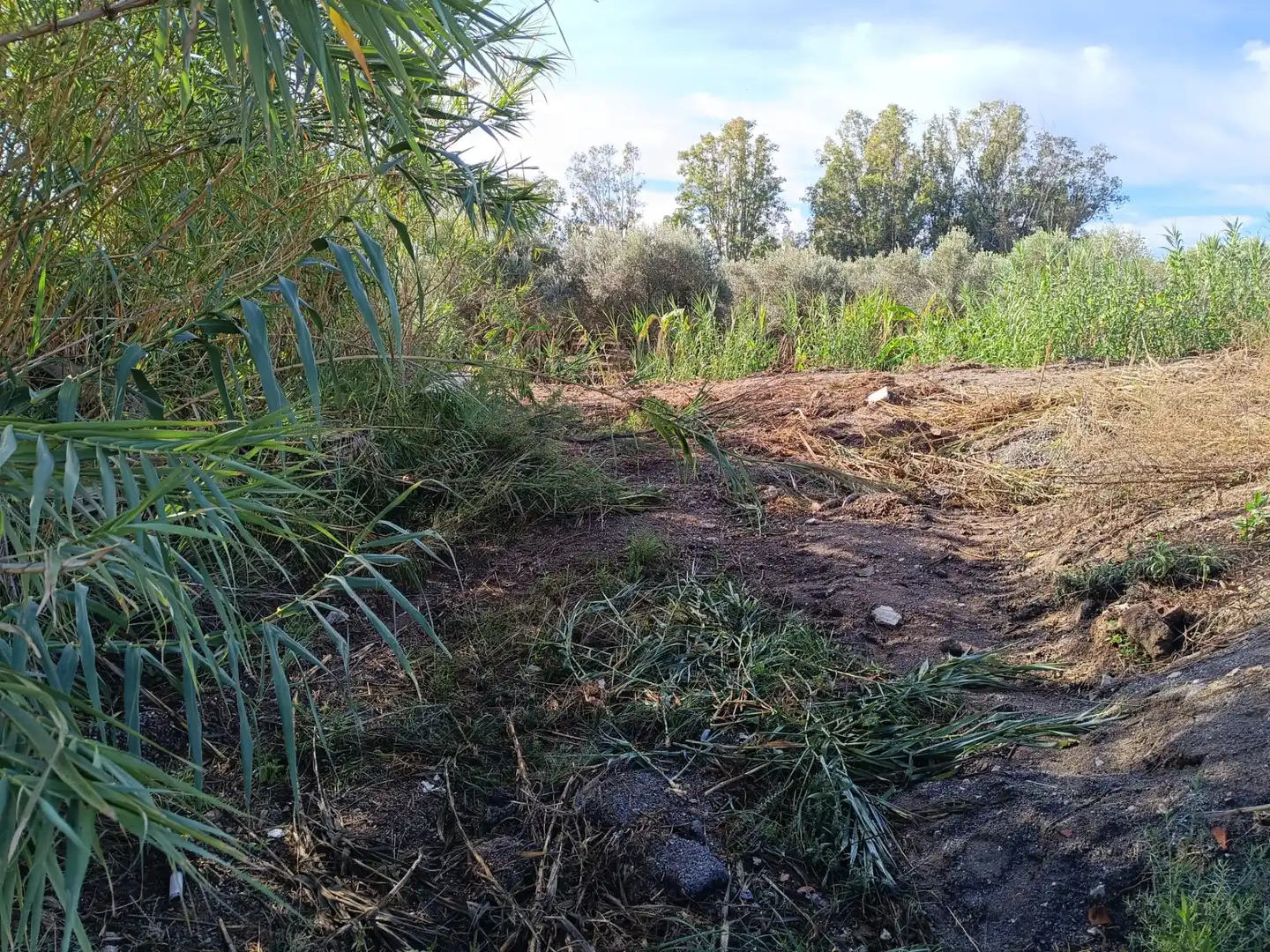 Grundstücke zur Miete in Motril