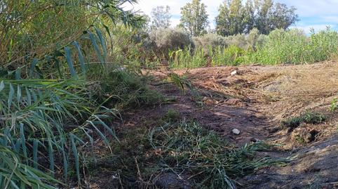 Foto 2 von Grundstücke zur Miete in Playa de Granada, Motril