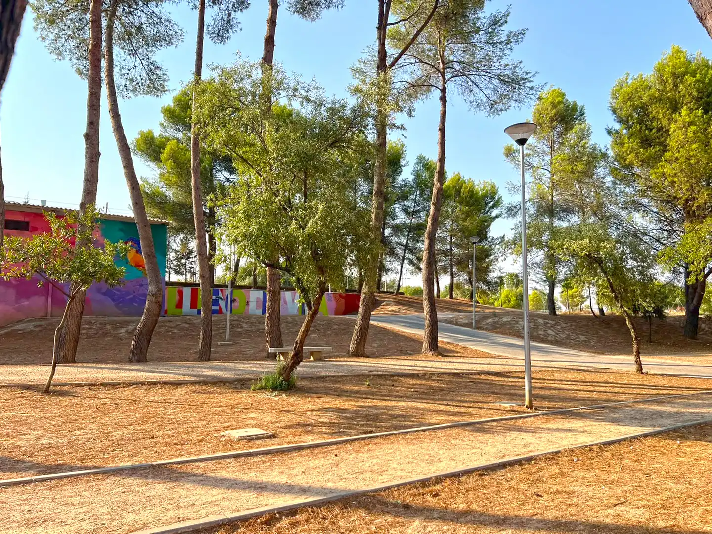 Vista exterior de Dúplex en venda en Loeches amb Aire condicionat, Calefacció i Rentadora