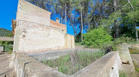 Photo 3 of Country homes for sale in Urbanitzacions i Pedanies Sud, Alzira