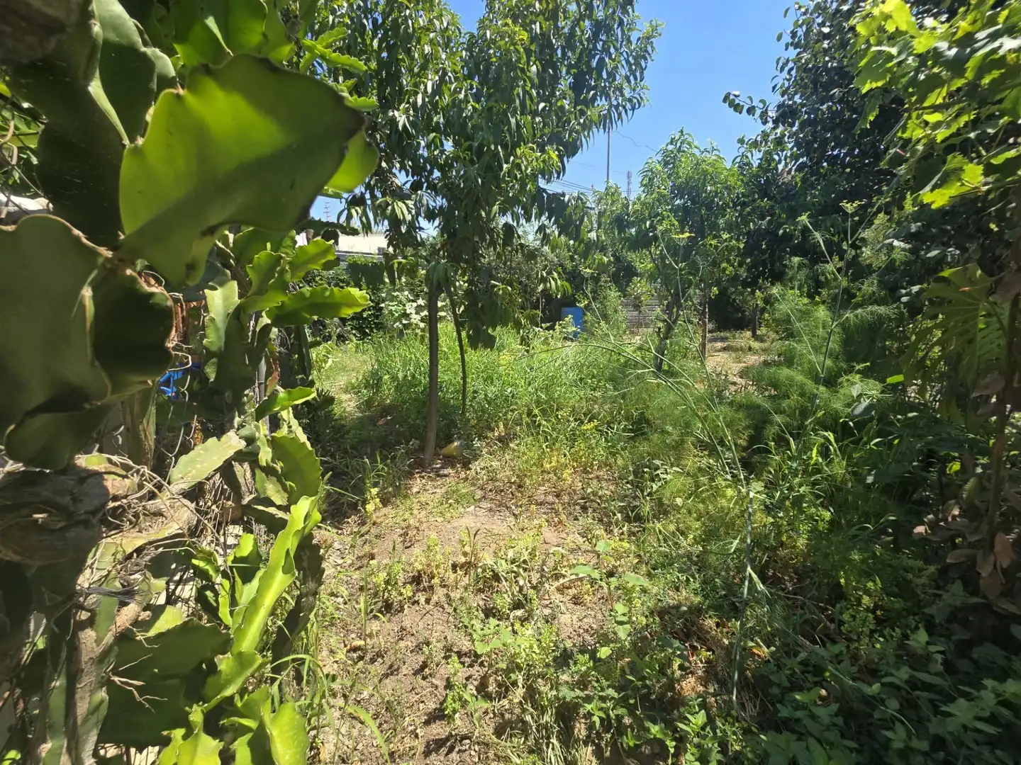Casa o xalet en venda en Rincón de la Victoria amb Aire condicionat, Jardí privat i Terrassa