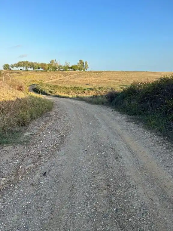 Terreni e lotti in vendita a Almonte ciudad, imagen 16