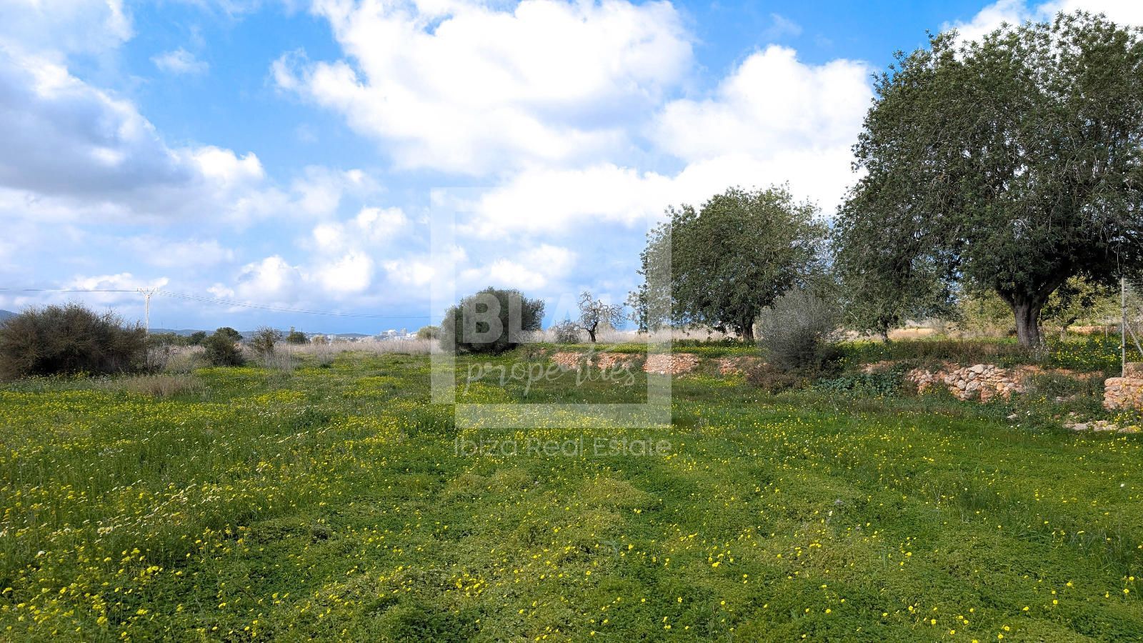 Land for sale in Sant Antoni de Portmany