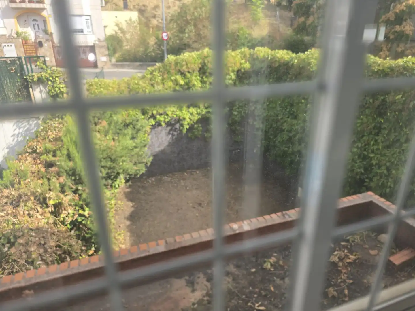 Jardí de Casa o xalet en venda en Campo Real amb Jardí privat, Terrassa i Traster