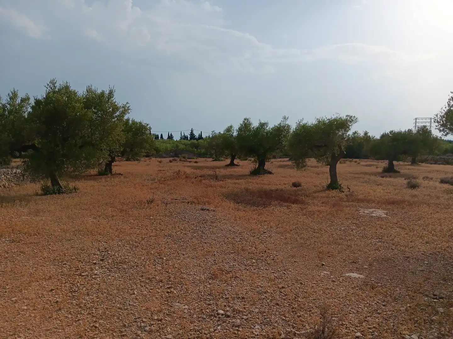 Terrenys i solars en venda a L'Ampolla, imagen 4