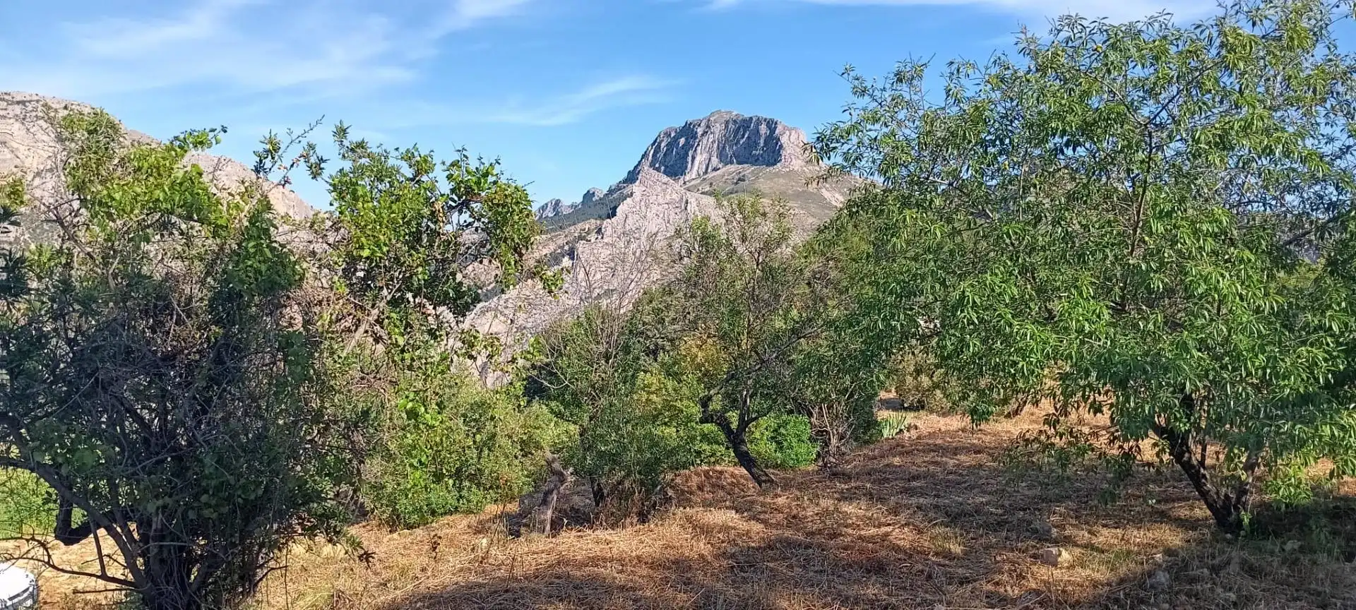 Rustikales Grundstück zum Verkauf in Tàrbena, imagen 7