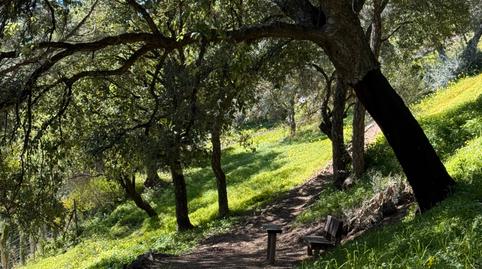 Foto 5 de Terreno en venta en  Paraje de Celima,, Casares pueblo, Málaga