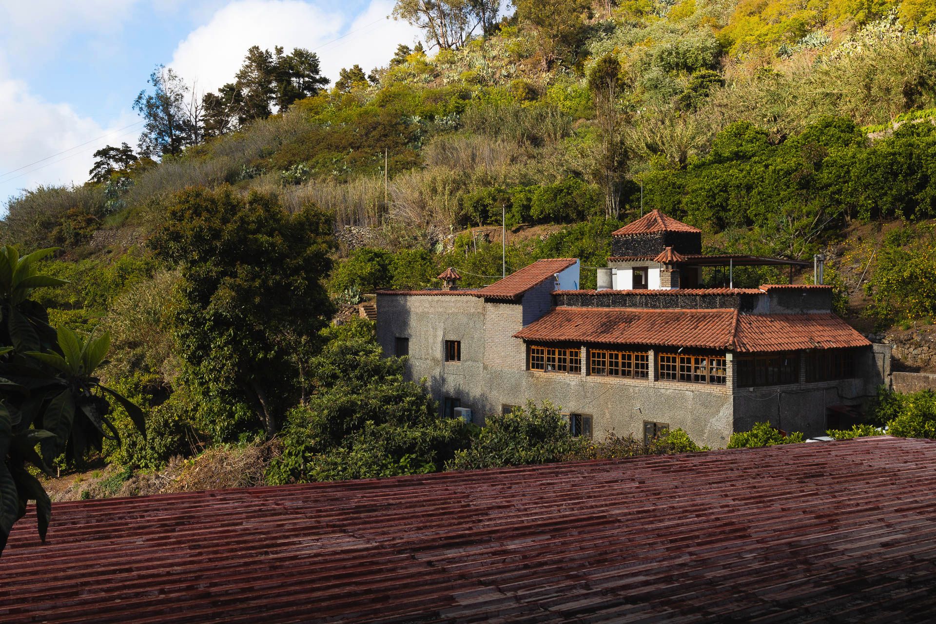 Finca rústica en venda a Carretera las Madres, Firgas