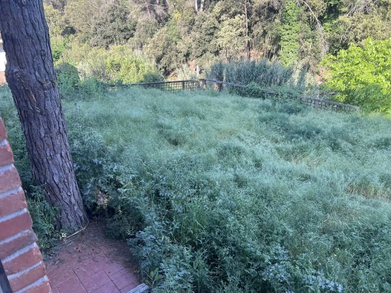 Casa o xalet en venda en Vilanova del Vallès amb Jardí privat, Terrassa i Piscina