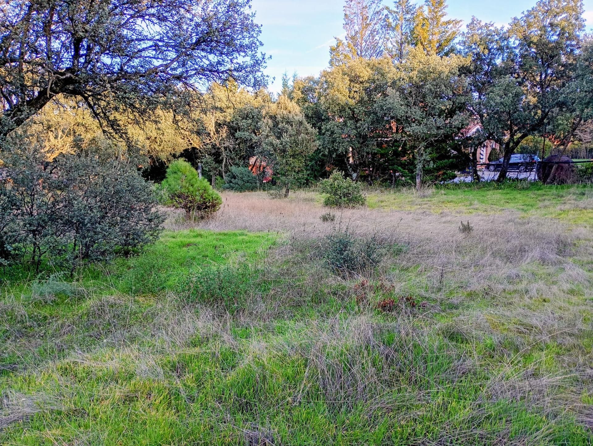 Residential for sale in Villanueva de la Cañada