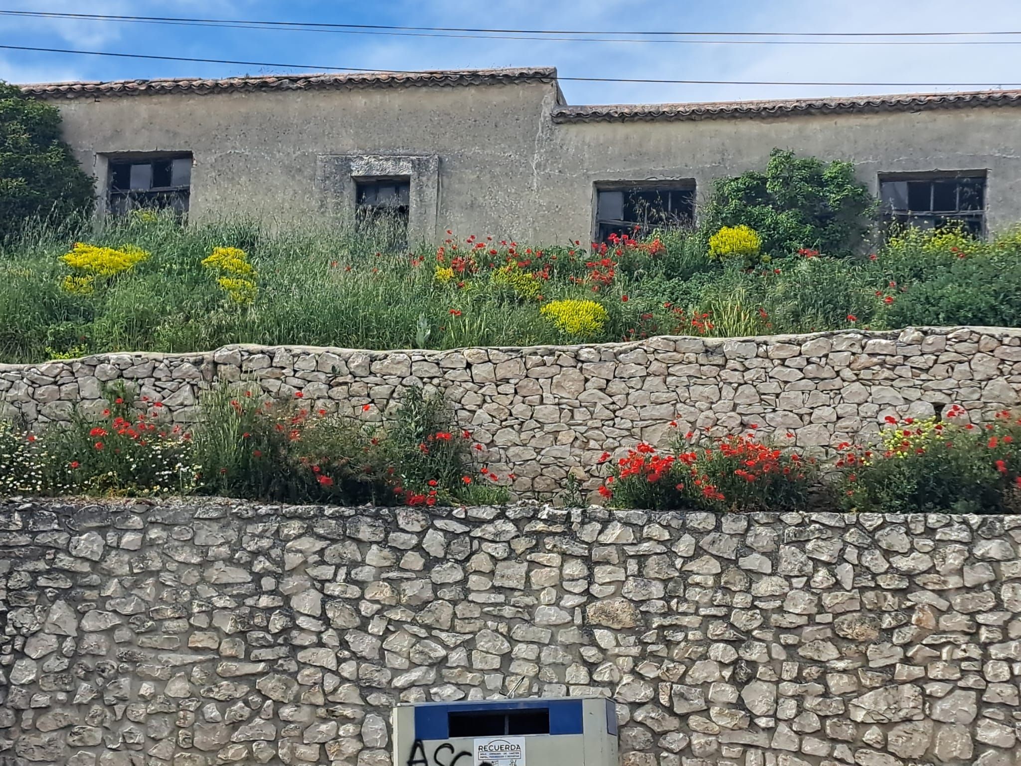 Jardí de Residencial en venda en Montemayor de Pililla