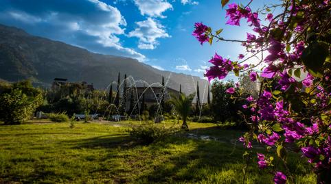 Photo 3 of Country house to rent in Sóller, Illes Balears