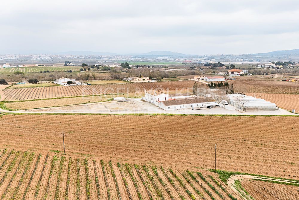 Industrial buildings for sale in Sant Martí Sarroca