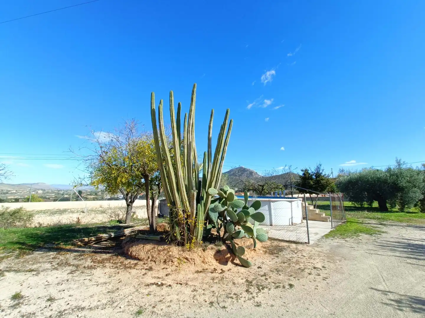 Villa in vendita a Hondón de los Frailes, imagen 9