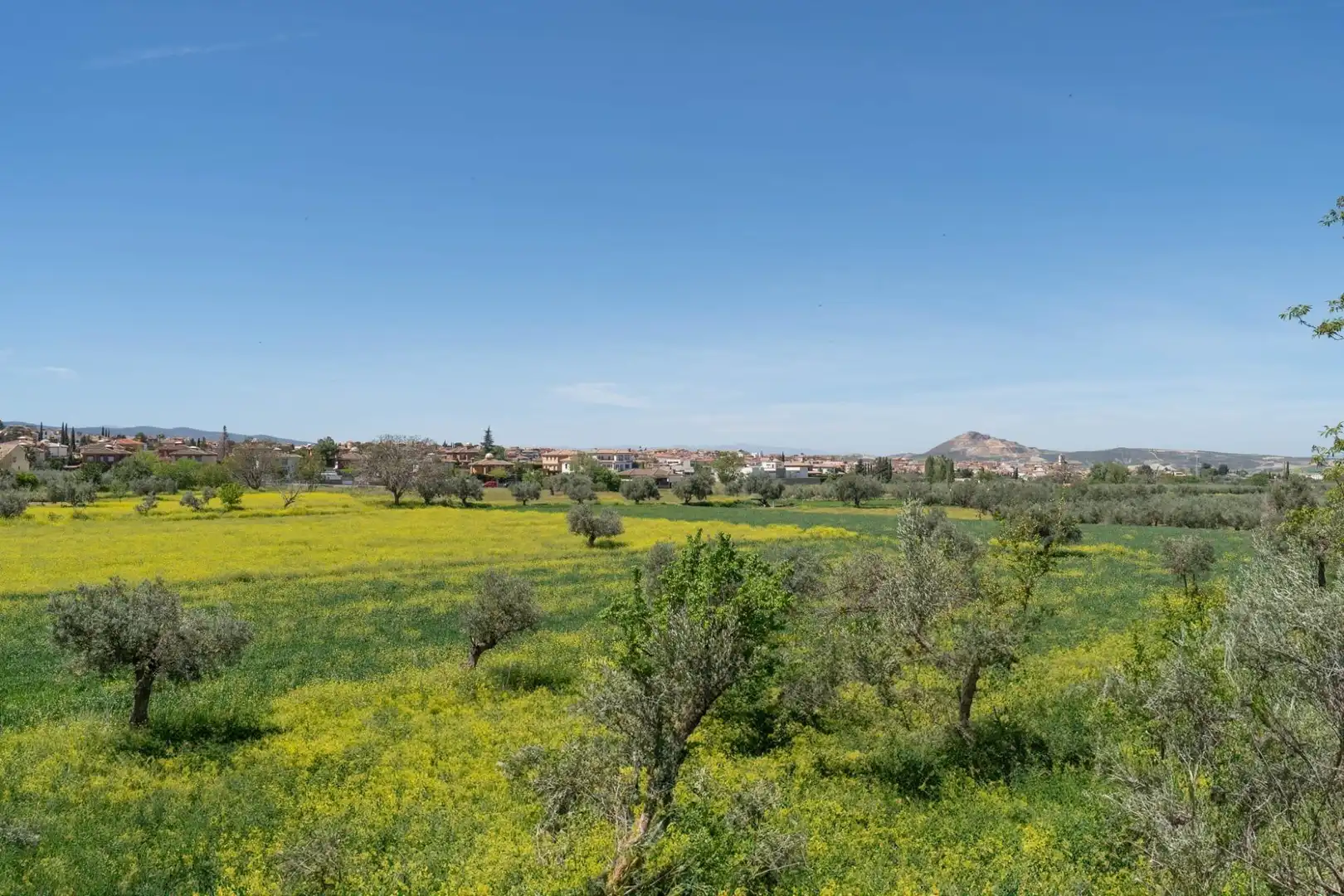 Residential land for sale in Calle de la Media Luna, imagen 53