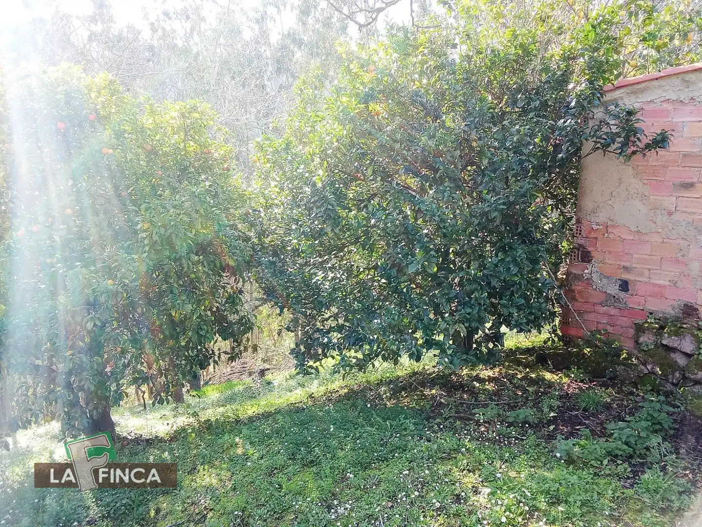 Casa o xalet en venda en Villaviciosa amb Calefacció, Terrassa i Traster