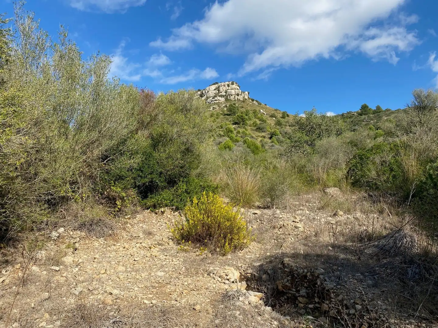 Haus zum Verkauf in Sant Llorenç des Cardassar, imagen 3