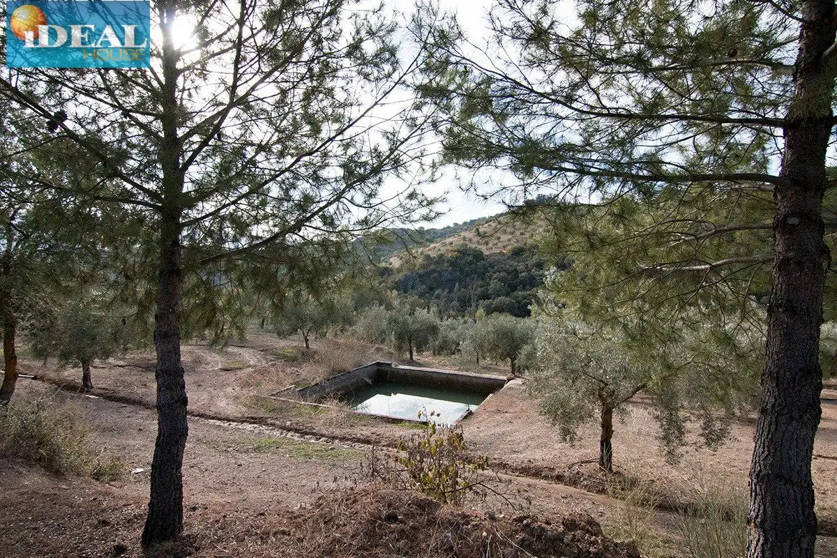 Casa rústica en venda a Loja, imagen 35