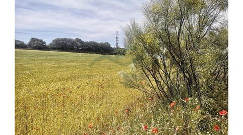 Foto 4 de Finca rústica en venda a Torre Alháquime, Cádiz