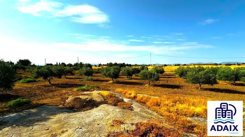 Finca rústica en venda en Gálvez amb Aire condicionat