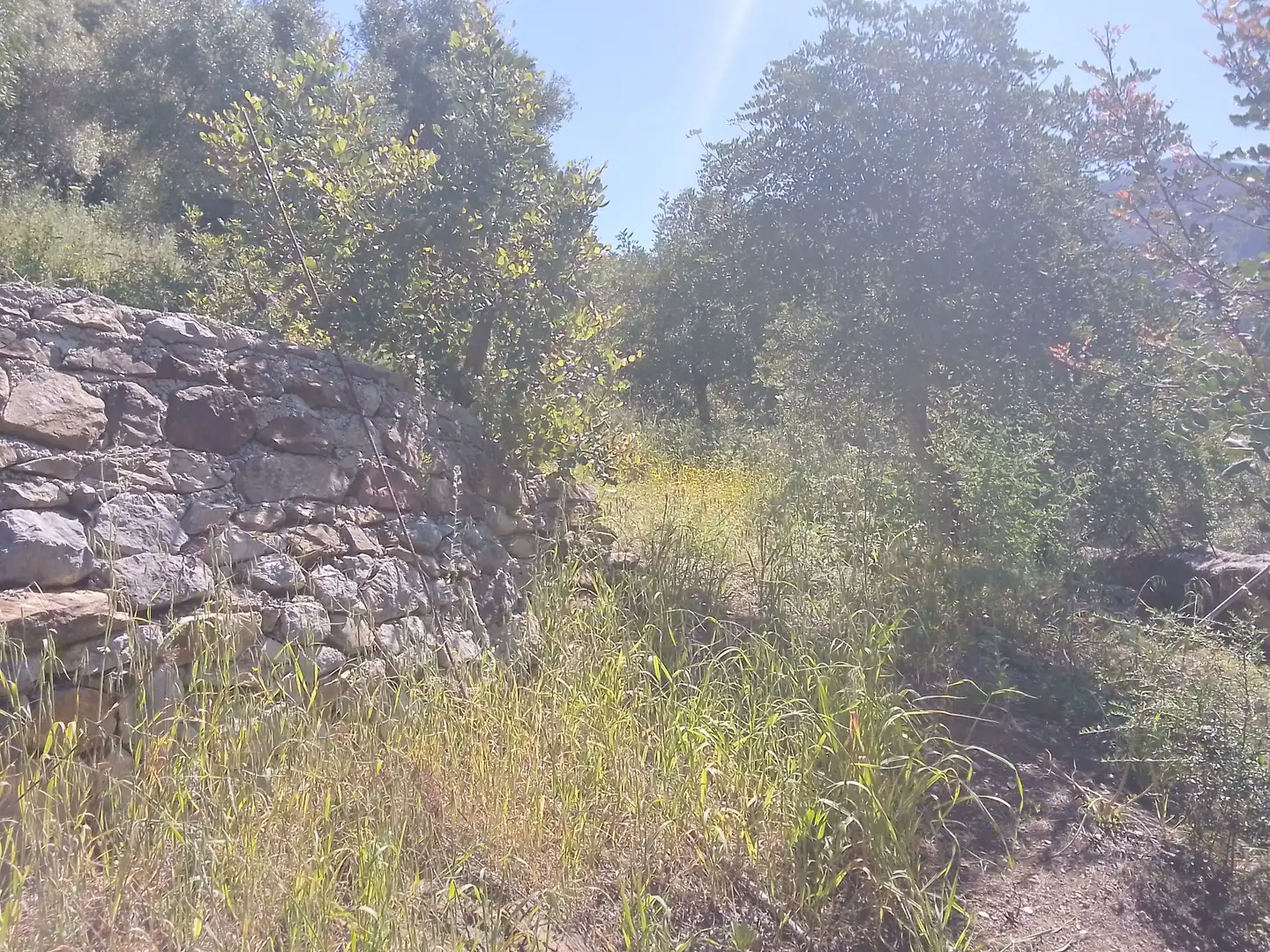 Houses for sale in Ubrique  with Private garden, Terrace and Balcony