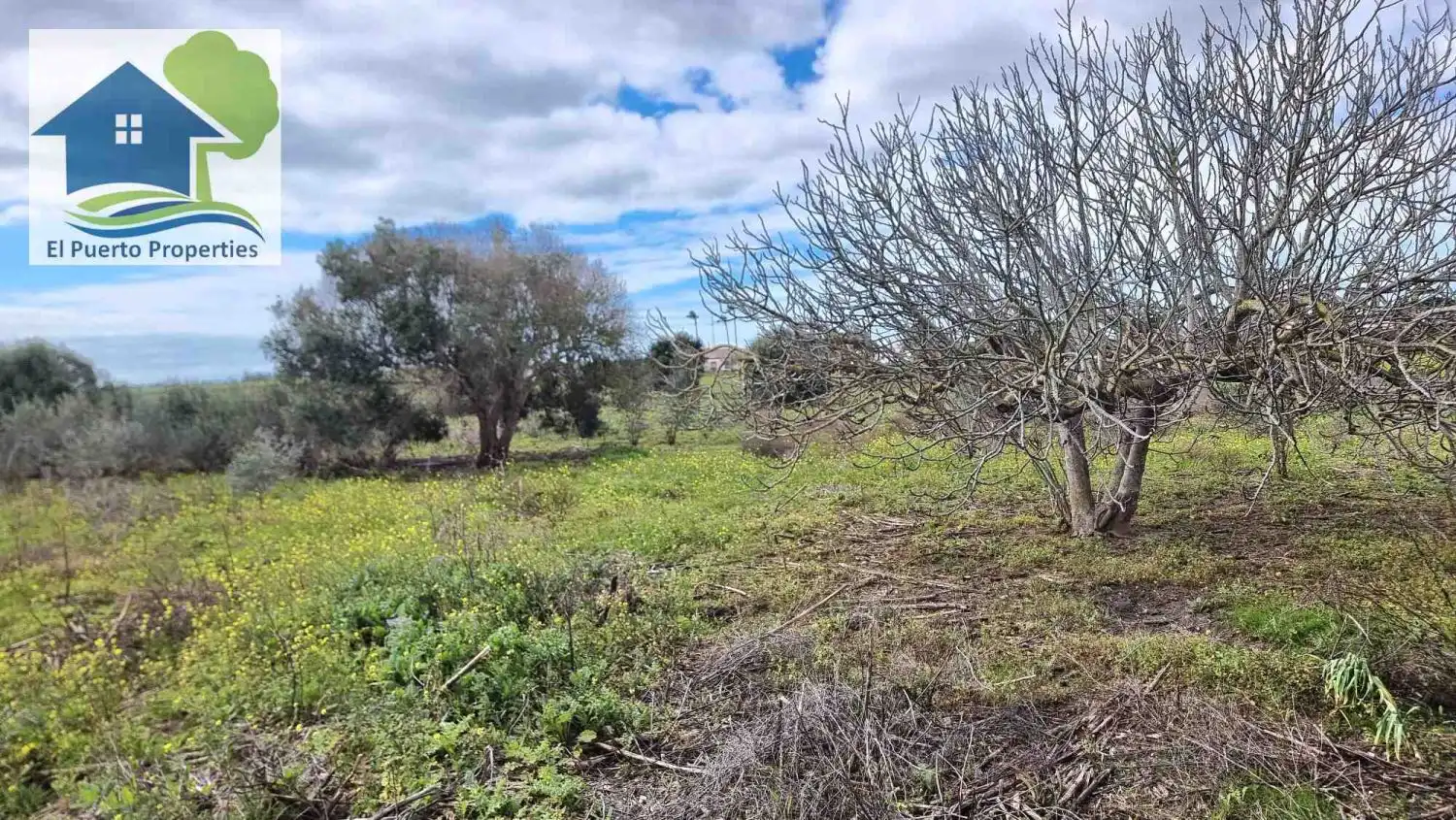 Finca rústica en venta en El Puerto de Santa María con Aire acondicionado, Calefacción y Jardín privado