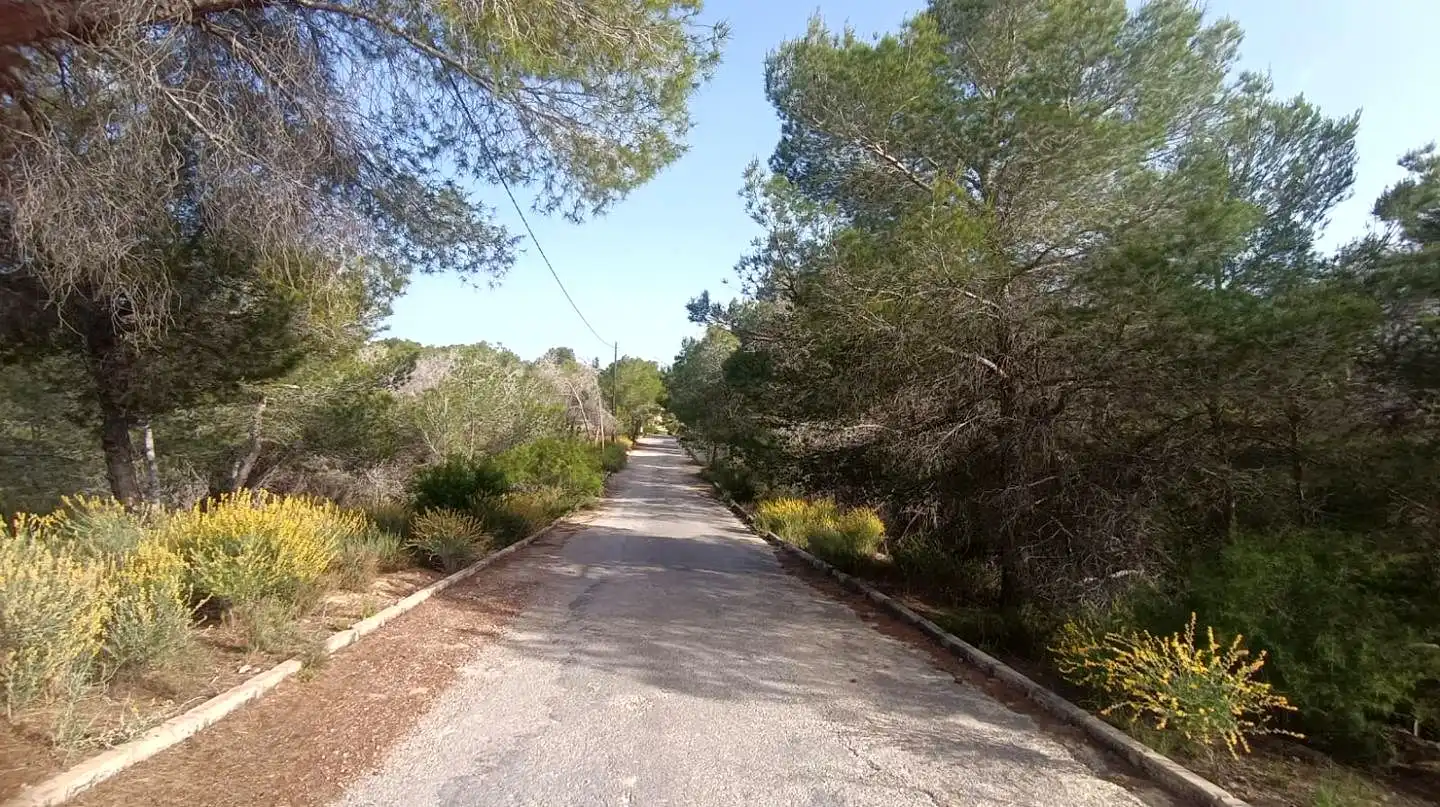 Terreni e lotti in vendita a Poniente, imagen 2