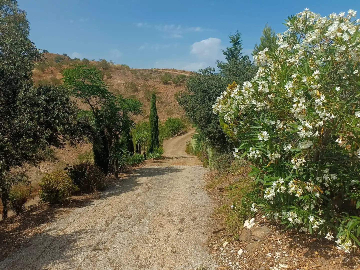 Außenansicht von Country house zum Verkauf in Málaga mit Terrasse