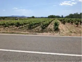 Terrain rustique à vendre à Requena, imagen 6