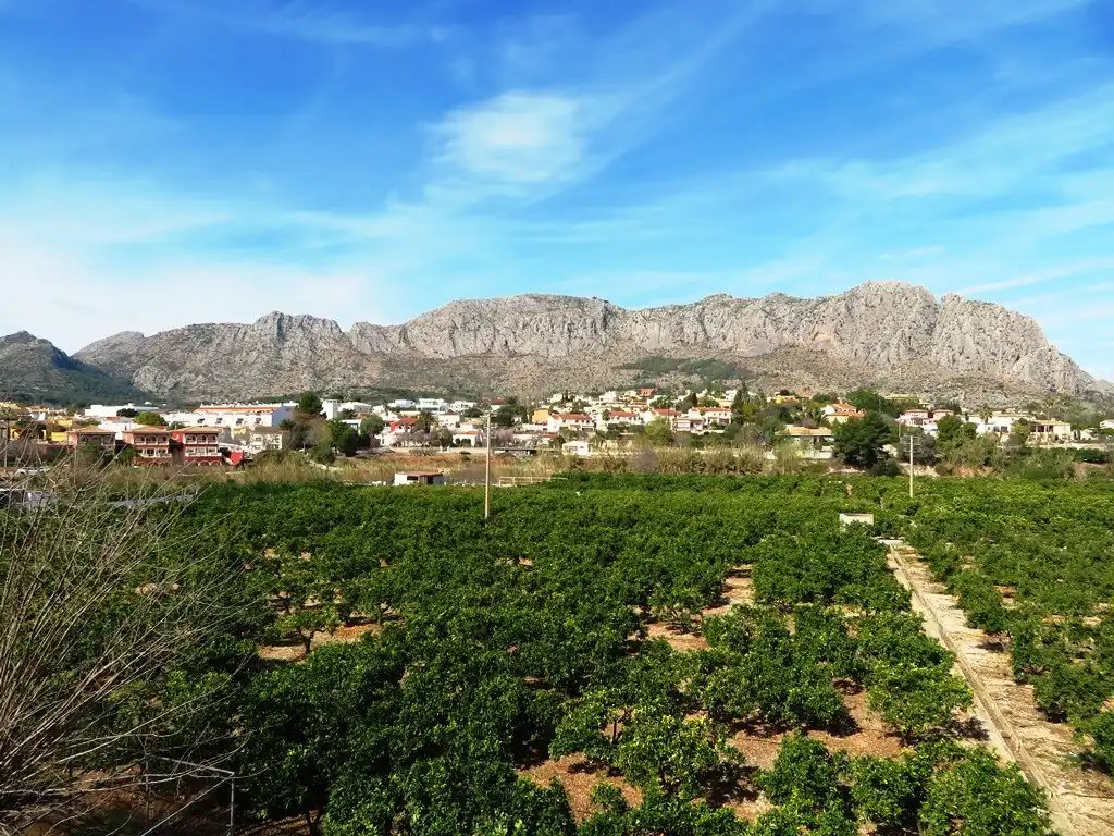 Detached house with terrace for sale in Beniarbeig, imagen 45