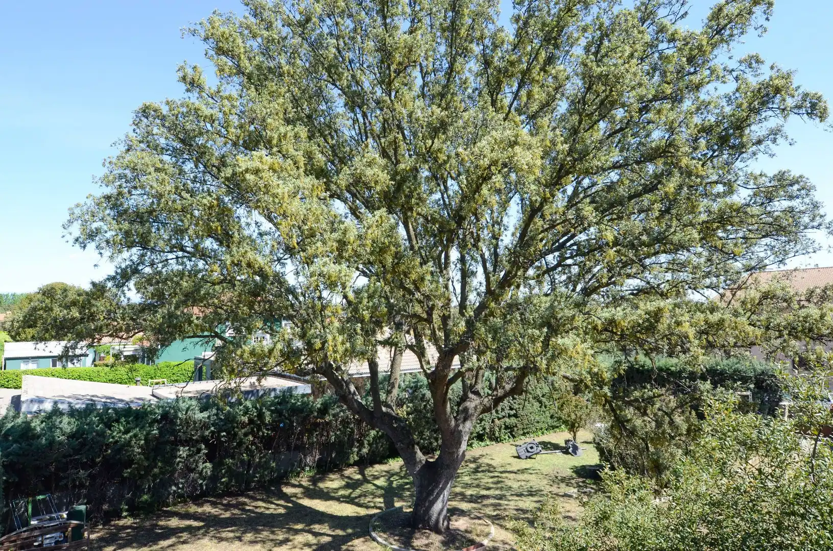 Casa o chalet en venta en Raya del Palancar - Guadamonte