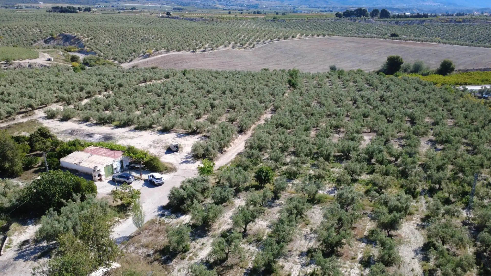 Terreno en venta en Tíjola