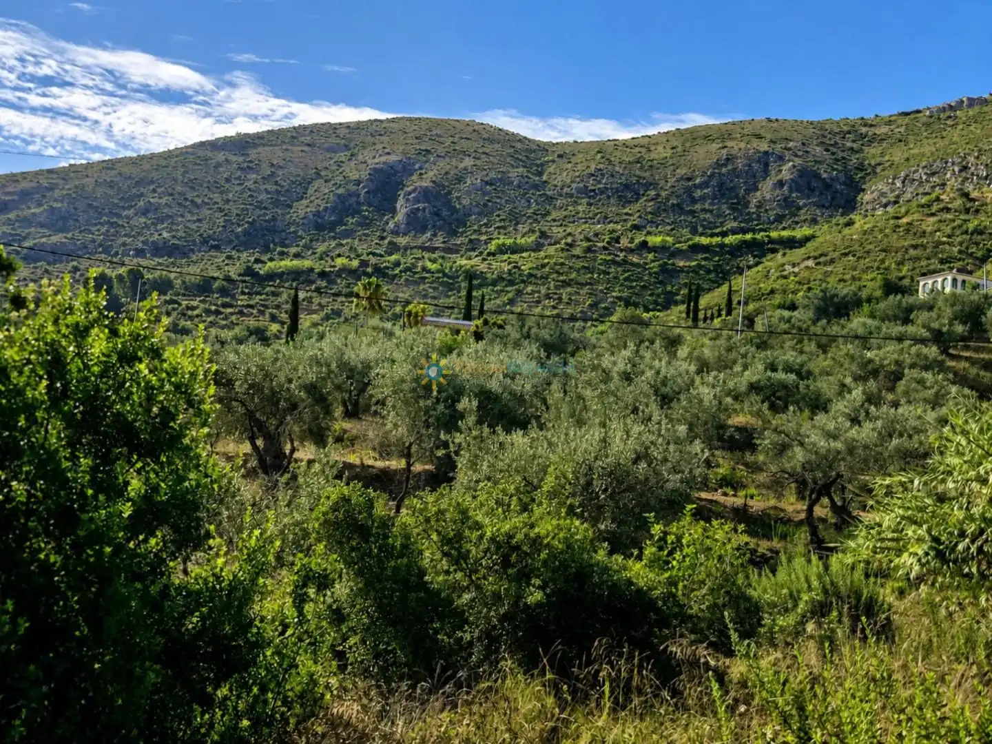 Terreno rustico in vendita a L'Atzúbia, imagen 3