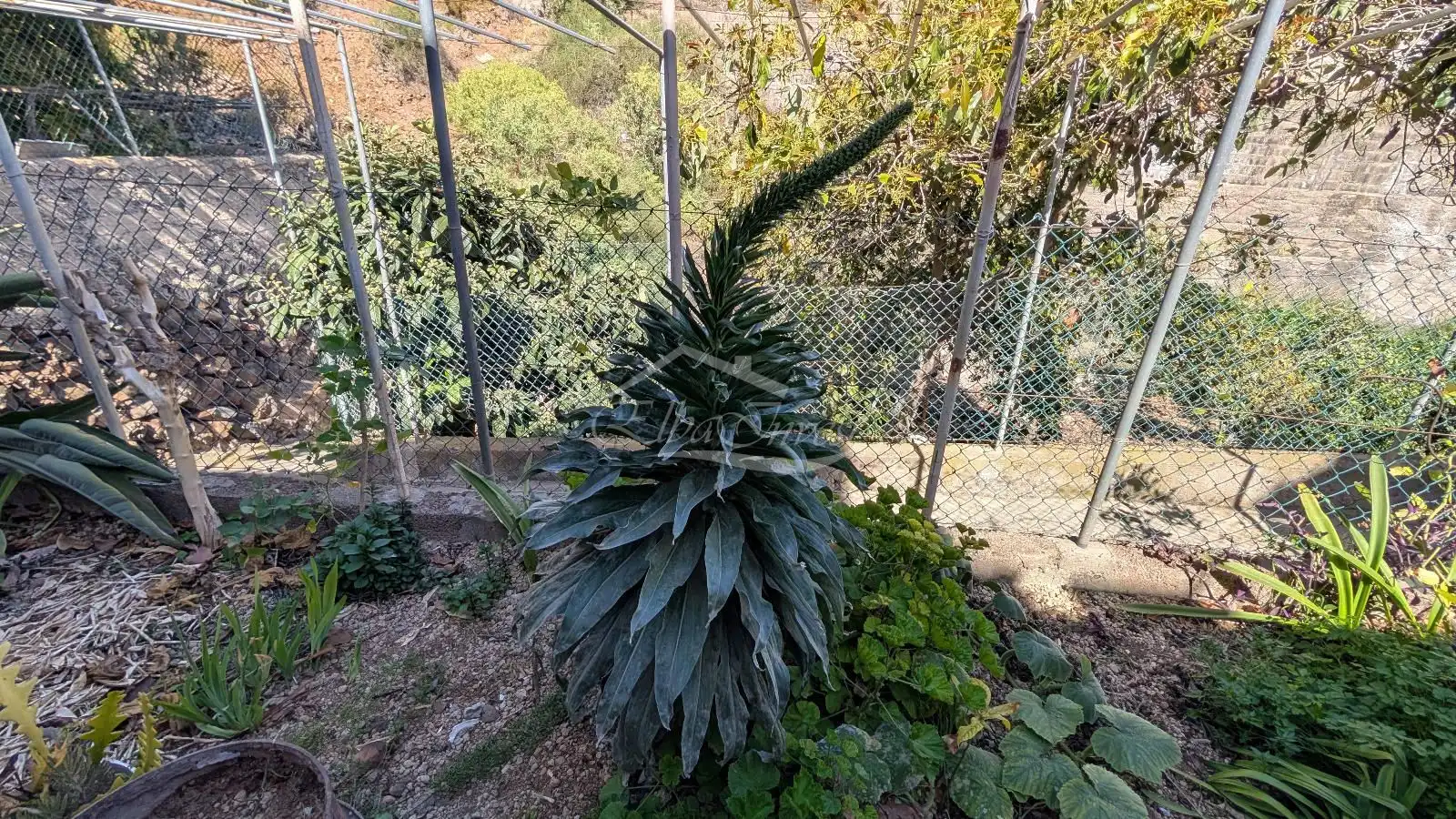 Jardín de Casa adosada en venta en San Miguel de Abona con Jardín privado, Trastero y Amueblado