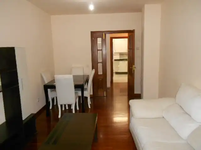 Sala d'estar de Pis de lloguer en Ames amb Calefacció, Terrassa i Traster