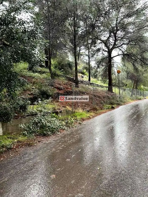 Terrenos y solares en venta en Río Sénia 9, imagen 6
