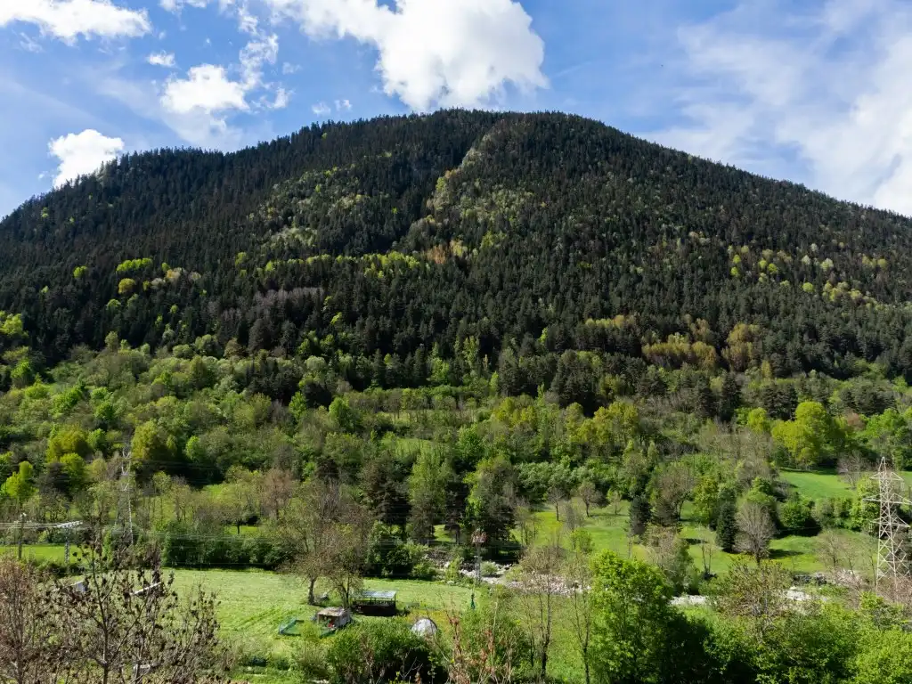 Apartamento en venta en Naut Aran