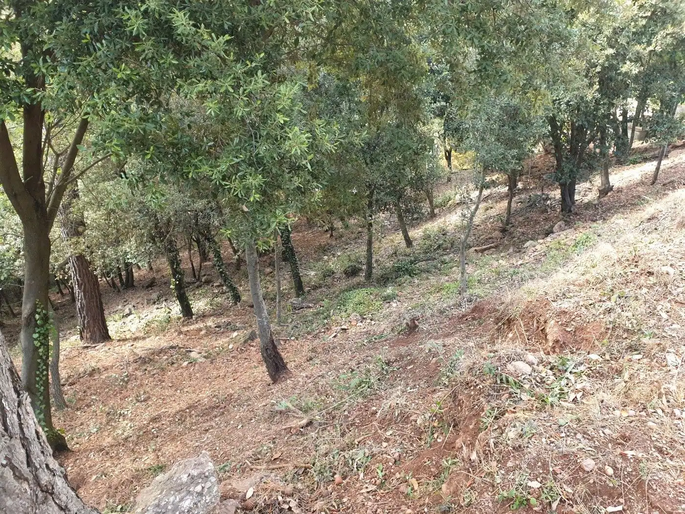 Terrain résidentiel à vendre à Matadepera, imagen 11