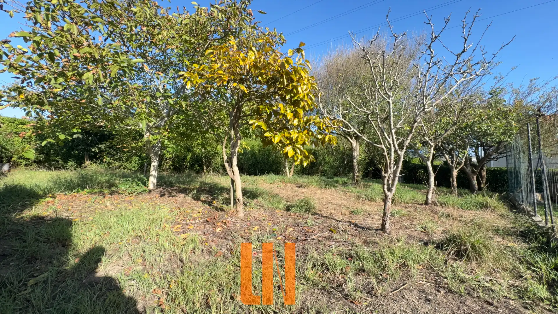 Houses for sale in Oseiro