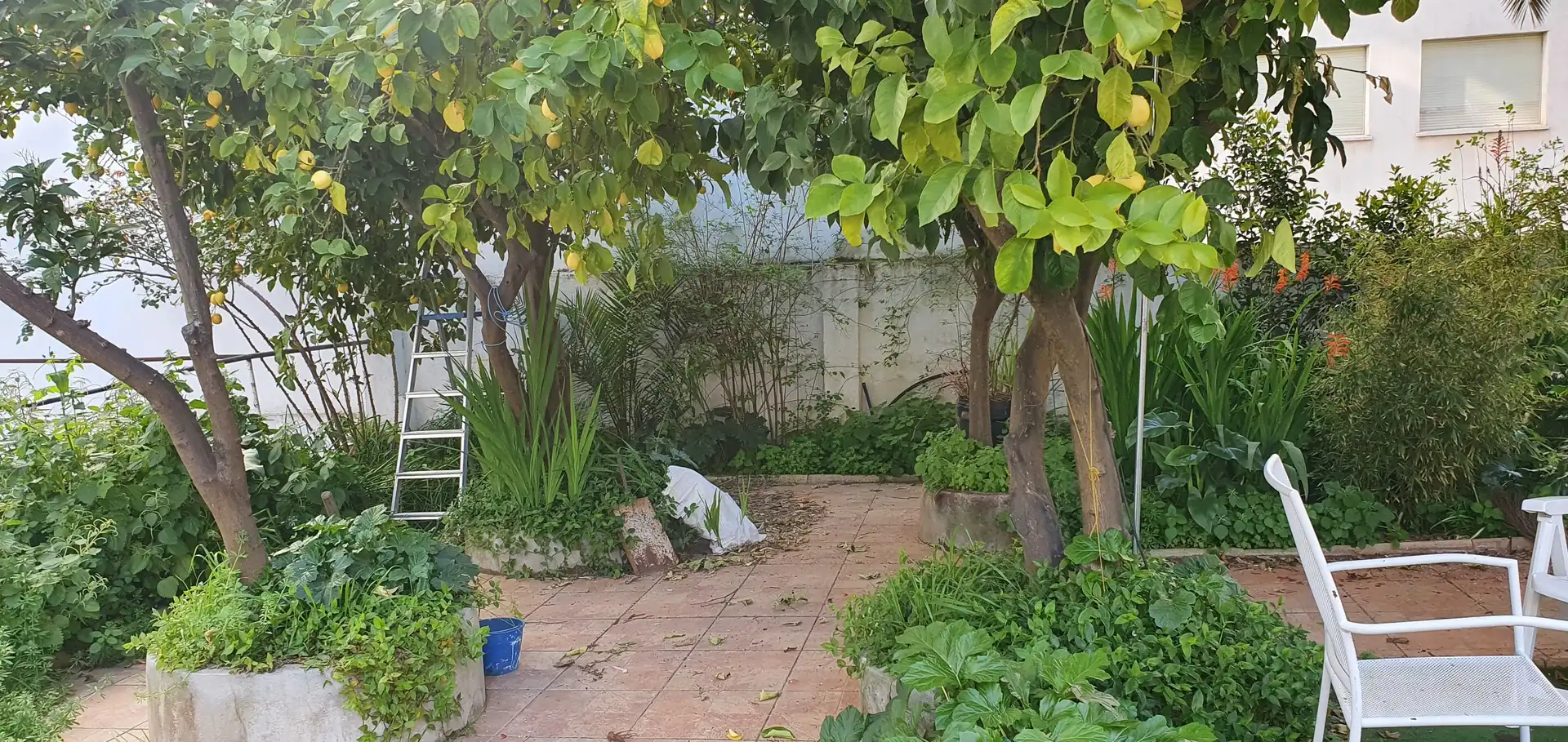 Garten von Wohnung zum Verkauf in Cáceres mit Heizung, Privatgarten und Schwimmbad