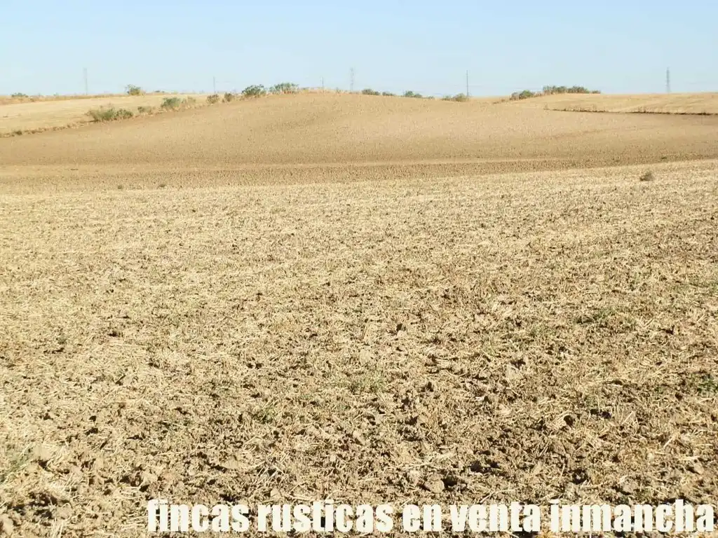 Terreni e lotti in vendita a Bargas, imagen 12