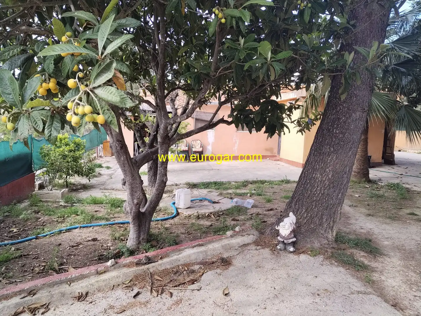 Jardín de Casa o chalet en venta en Chiva con Jardín privado y Trastero