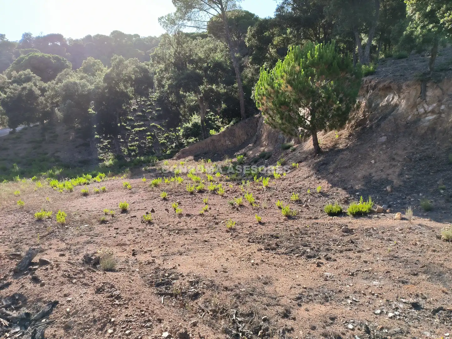 Terreno residencial en venta en Niàgara Parc - Àgora Parc, imagen 6
