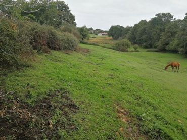 Rural land for sale in Corvera de Asturias