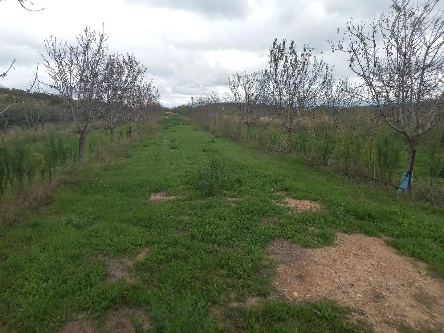 Rural land for sale in El Pinell de Brai, imagen 4