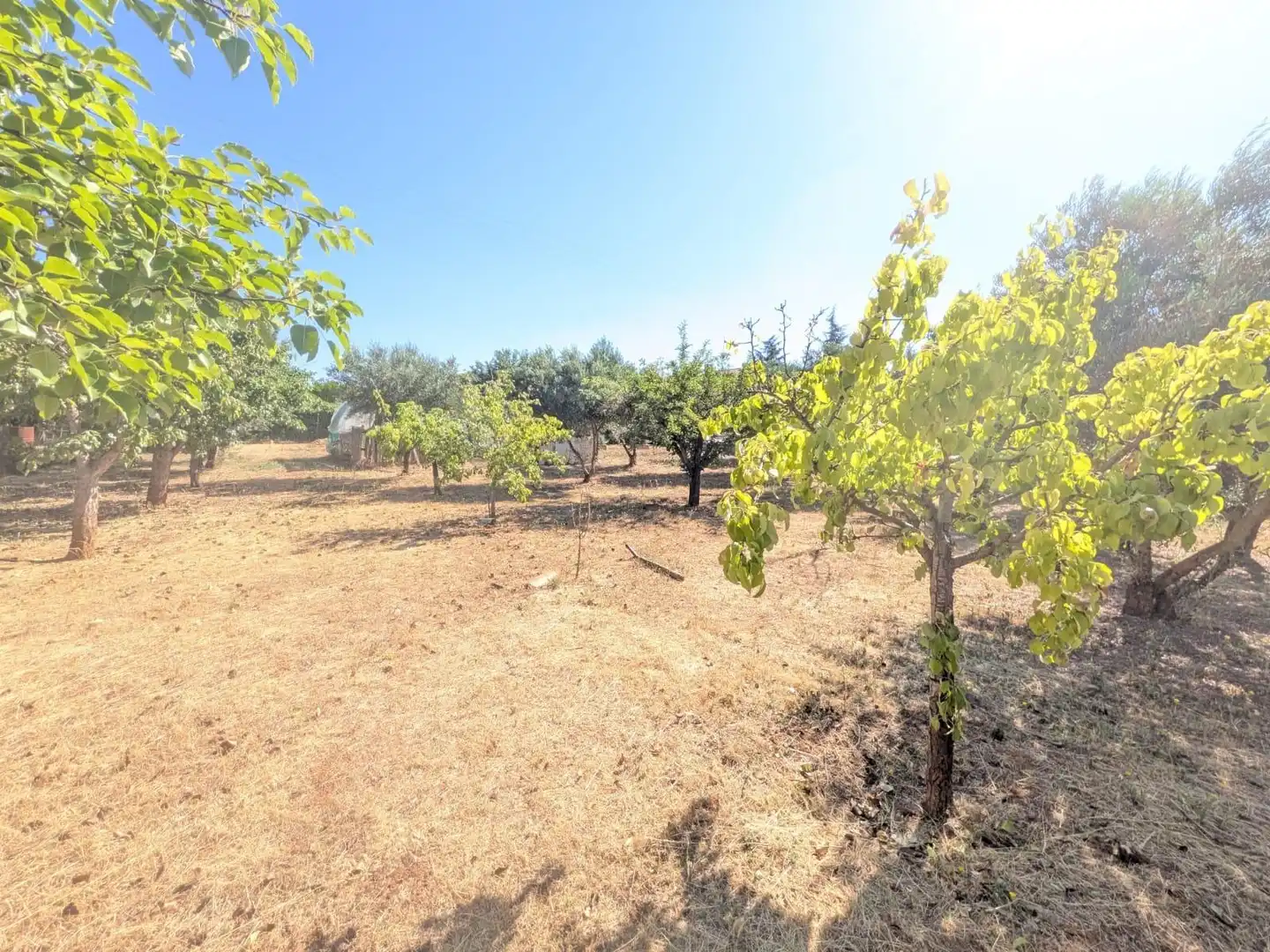 Chalet con piscina en venta en Pioz, imagen 36