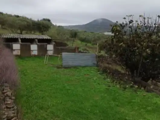 Land for sale in Higuera de Vargas